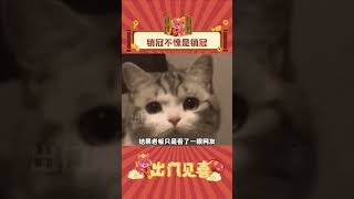 真是吃了一堑又一堑 #娱乐评论大赏 #万万想不到 #搞笑 #shorts  #出门见喜