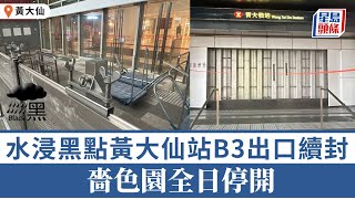 黑雨｜水浸黑點龍翔道一度封路 黃大仙站B3出口續封 嗇色園全日暫停開放｜星島頭條新聞｜港聞｜黃大仙｜港鐵站｜防洪板｜防備措施｜水浸黑點｜嗇色園｜北館