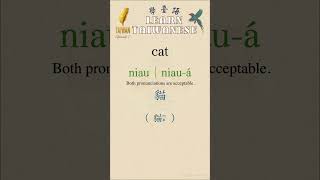零基礎學臺語07｜日常語詞