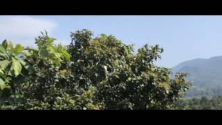 Vizad to Kirandul Train Journey near Borra Caves