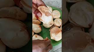 Summer special fruit 😋#munjal #munjalu