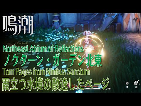 【鳴潮】霞立つ水境の散逸したページ/リナシータ/ノクターン・ガーデン北東 [Torn Pages from Nimbus Sanctum,North Atrium Reflections,38430]