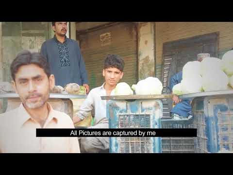 Introduction video for GCED