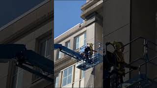 Historic and Government Building Bird Control #birdcontrol #birds #pestcontrol #birddeterrent