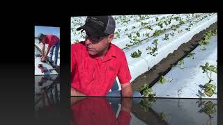 Soil Sensor Install