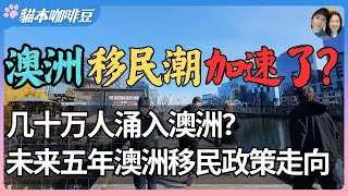 2025澳洲移民数量加速上涨，一年涌入44万人？未来五年，澳洲移民政策的走势 | 一年多出一个堪培拉的人，澳洲准备好了吗？| 澳洲与新西兰移民生活深度分享 | 猫本咖啡豆