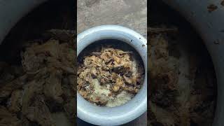 পাল্কি করে কি জাইতে 🤔