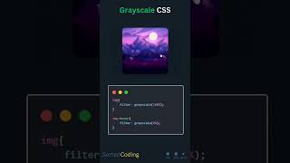 Amazing Grayscale CSS🔥🤯 #css #coding #codingtutorial #trend