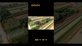 许家印算命改风水的趣事     | @duzhe