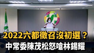 2022六都徵召沒初選? 中常委陳茂松怒嗆林錫耀－民視新聞