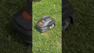 Will This Robot Mower Survive My Messy Yard? #lawncare #shortsvideo