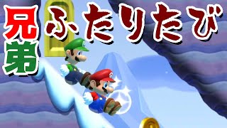 【ゲーム遊び】マリオメーカー2 マリオとルイージ兄弟のふたりたび！ マリメ【アナケナ】Super Mario maker 2