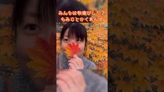 🍁秋遊び🍁#おすすめ#shorts#秋#紅葉#もみじ#網走#オホーツク#道東