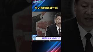 文革真要重來？｜大宇拍案驚奇 #習近平 #張又俠