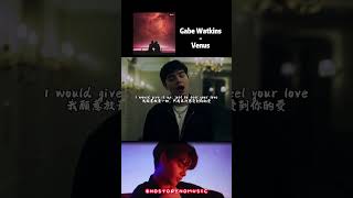 我願意放棄一切，只為再次感受到你的愛。#nostorynomusic #gabewatkins #venus #thaimusic #維納斯 #我的女神