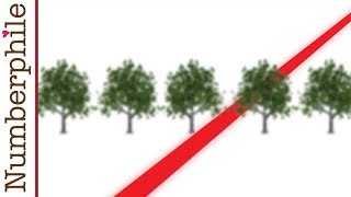 Tree Gaps and Orchard Problems - Numberphile