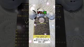 個性心理学（動物占い）ゾウB型の特徴を解説　♯個性心理学 ♯動物占い ♯ゾウ ♯B型 ♯shorts