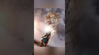 MERA MOLA Haidar Haidar New #shorts #youtube