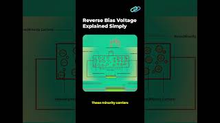 Reverse Bias Voltage Explained Simply!
