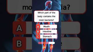 Human body quiz 🧠 #quiz #trivia #anatomyquiz #gkquiz