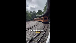 開箱阿里山林鐵「福森號」7／28首航！ #福森號 #台鐵 #阿里山火車 #火車 #Shorts