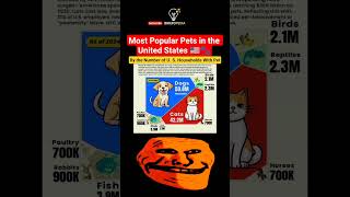 Most Popular Pets in the United States 🇺🇸🐾 #popularpets #petslovers