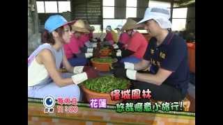 Go Go Taiwan 花蓮 慢城鳳林 悠哉愜意小旅行! (民視無線台 每週日11:00)