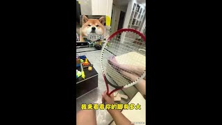 找打吧#内容过于真实 #搞笑 #意想不到的结局 #家庭搞笑 #内容太过真实#家庭生活#搞笑日常