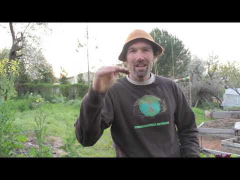 Cardboard Mulching Your Garden