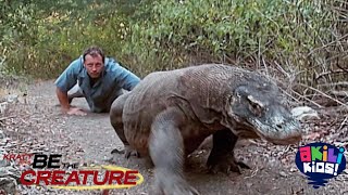 Be The Creature | The Komodo Dragon | Akili Kids!