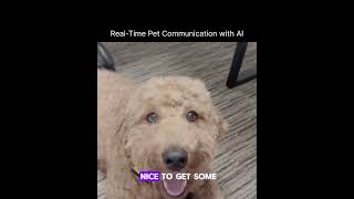 Real-Time Pet Communication with AI #adkeeda #ai #aicommunication #smartwearables #innovation