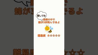 天然100％！マヌカハニー！免疫力アップにぴったり蜂蜜！