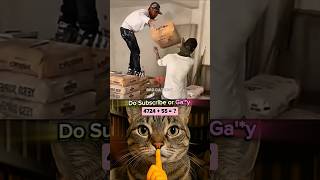 give me this video title 1 💀 #funnycat #memes #shorts