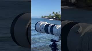 No #surf today Sony 200-600mm. #hawaiiphotographer #hawaii #shortvideo #art #photography #sony200600