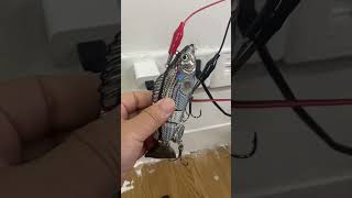 #robofish with its lifelike swimming posture,the e-bait increases your chances of getting bites.