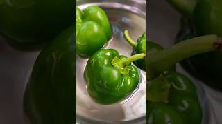 ✨Capsicum🫑Egg🥚curry🫕✨#justtry #goodforhealth #recipe#foryou#indiarecipes #subscribe@Allcultures_26