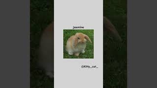 Some cute bunny names🐇🐰#shorts#aestheticgirl#bunnynames#shortsfeed#youtubeshorts