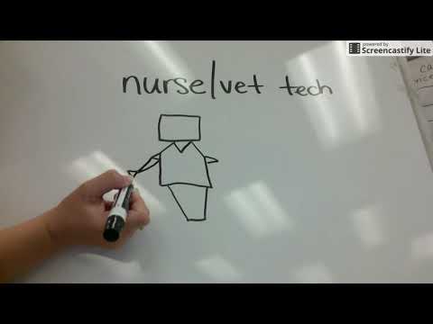 How to draw a nurse/vet tech