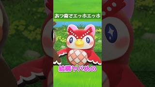 【あつ森】えっほえっほ♪ #shorts #acnh