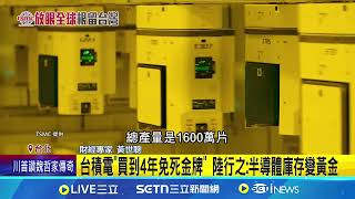 免死金牌? 變美積電?  台積電美國投資"矽盾"難撼動｜94要賺錢