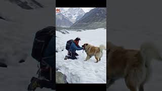 Dog save human #dog #human #dogslovers #reels #rescue #animals