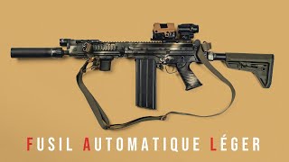 DS ARMS SA58 OSW 11" FAL SBR - Review