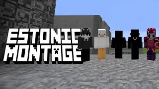 Estonic Montage #2 Best ban Evader