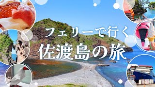【佐渡】2泊3日の佐渡島旅行Vlog🛳️🇯🇵｜夫婦二人旅 ｜ 佐渡金山 ｜ 北沢浮遊選鉱場跡 ｜ トキの森公園 ｜ 二ツ亀 ｜ 大野亀