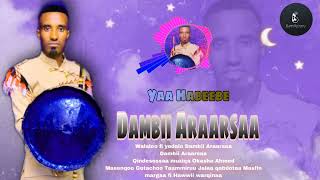 Dambii Araarsa YAA HABEEBE New Ethiopian Oromo Music 2025 (Official Video)