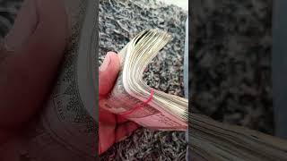 💸pesa💸#song #heer #haryanvisong #heermusic #newsong #love #punjabisong #trending #pesa