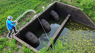 Fishing in an ABANDONED Concrete PIT!!! (BIG Fish!)