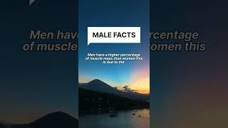 impressive facts about the male body 💪🏻#shorts #malefacts