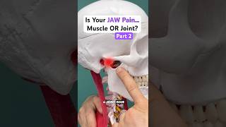Part 2 of 2 — Is your JAW pain the Muscle or Joint? #tmj #tmjtreatment #tmjdisorder #jawpain