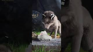 The Wolf Had Many Babies But One Was A Different Color 😱😂